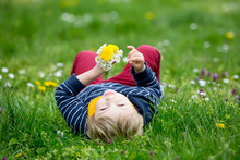Beautiful Toddler Blond Child, Cute Boy, Lying In The Grass