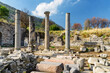 Scenic ruins of the agora in Ephesus (Efes) at Turkey