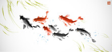 School Of Koi Carps And Green Seaweed. Traditional Oriental Ink Painting Sumi-e, U-sin, Go-hua. Symbol Of Good Fortune, Success And Prosperity. Hieroglyph - Well-being.
