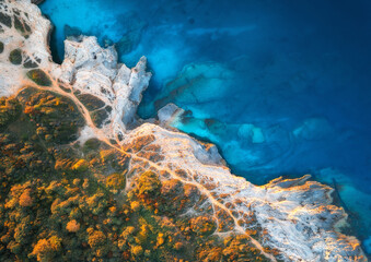 Aerial view of blue sea, rocks in clear water, beach, green trees at sunset in summer. Adriatic sea, Kamenjak, Croatia. Colorful landscape with rocky sea coast, stones in azure water, forest. Top view