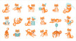 Cute Shiba Inu Dog Character with Curly Tail Engaged in Different Activity Vector Set