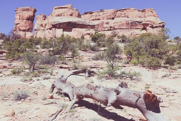 Sticker - Colorado National Monument desert landscape. Retro filtered colors photo.