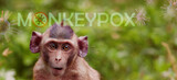 Fototapeta Kawa jest smaczna - Monkeypox outbreak concept. Monkeypox is caused by monkeypox virus. Monkeypox is a viral zoonotic disease. Virus transmitted to humans from animals. Monkeys may harbor the virus and infect people.