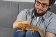Disabled man with amputated two stump hands with animal bearded agama sitting on sofa at home and stroking him, lovely pet friend. Animal therapy. Problem of adaptation life people with disabilities.