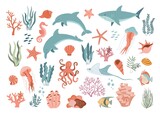 Fototapeta Dinusie - Set with hand drawn sea animals and plants vector illustration.  Fish, jellyfish, dolphins, shark, shells, seaweed and corals.  Beautiful underwater world in cartoon style.  Diving center.