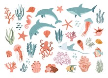 Set With Hand Drawn Sea Animals And Plants Vector Illustration.  Fish, Jellyfish, Dolphins, Shark, Shells, Seaweed And Corals.  Beautiful Underwater World In Cartoon Style.  Diving Center.