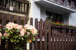 Drewniany płot z kwitnącym rododendronem, i zadbanymi pięknymi balkonami w tle.