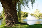Fototapeta Dmuchawce - Water fountain spraying at Paquette park in portage, Wisconsin