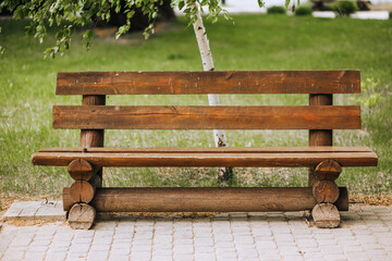 Photo of an empty wooden brown bench in the park against the background of green grass and birch.