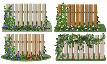Garden Fence Set With Climbing Plants, Flowers, Greenery. Vector Illustration