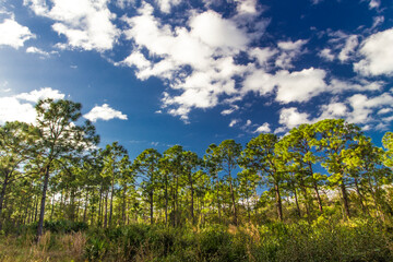  Oxbow eco-center, Fort Pierce, Florida