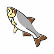 silver carp color icon vector illustration