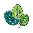 spinach plant color icon vector illustration