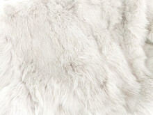White Fur Texture Close-up Abstract Beautiful Fur Background