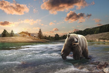An Alaskan Brown Bear Fishing In A River , 3d Rendering