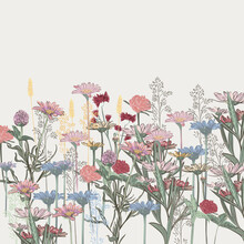Floral Vector Illustration With Wild Daisy Flowers In Vintage Style