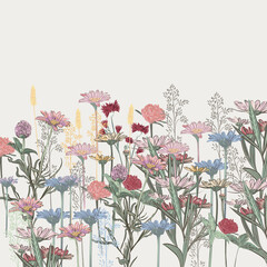 Poster - Floral vector illustration with wild daisy flowers in vintage style