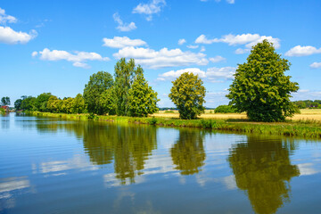 Wall Mural - Trees by a canal with water reflections in a summer landscape