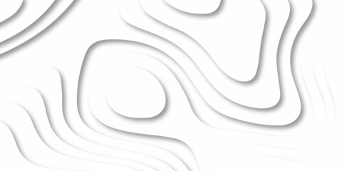 Luxury paper cut background, Abstract decoration, white pattern, halftone gradients, 3d Vector illustration, topographic canyon map light relief texture, curved layers and shadow.