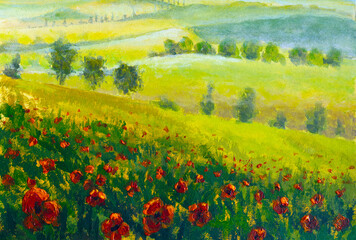 field of poppies