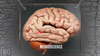 Neuroscience in human brain - dozens of important terms describing Neuroscience properties painted over the brain cortex to symbolize Neuroscience connection with the mind.,3d illustration