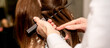 © okskukuruza - Hairdresser's hands prepare brown hair for dyeing with a comb and foil in a beauty salon, close up