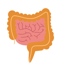 Wall Mural - Intestine human organ. Vector illustration