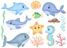 Sea Animals Watercolor Clipart