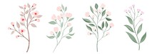 Set Watercolor Flowers. Hand Painted Floral Illustration.