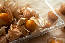Fresh Picked Cape Gooseberry And Peruvian Groundcherry Fruit Or Rasbhari In Transparent Plastic Packaging With Brown Crumpled Wrap Paper Background. High In Vitamin C Antioxidants Help With Eyesight