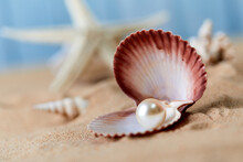 Sea Shells And Pearl On Sand