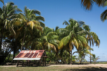 Table de picnic sur une aire de repos près de la plage de Awala-Yalimapo, village amérindien en Guyane Française lors d'une journée ensoleillée près de l'océan atlantique