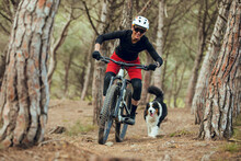 Woman With Mtb Enduro Bike Going Down Mtb Trail With Her Australian Shepherd Dog