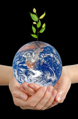 Wall Mural - Girl's hand with plate Earth.Elements of this image furnished by NASA