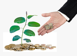 Wall Mural - Man Investing to green business