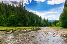 Forest River Runs Through Valley. Beautiful Nature Scenery In Summer. Spruce Trees On The Grassy Shore. Mountains In The Distance. Clouds On The Blue Sky