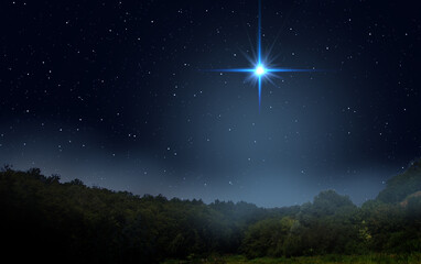 fog is rising over the night forest. bright star indicates the nativity of jesus christ in the starr