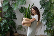 © DimaBerlin - Plant care. Woman florist taking care about snake plant in home garden, holding Sansevieria houseplant in wicker planter and touching green leaves while standing in greenhouse, selective focus