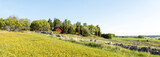 Fototapeta  - A typically red cottage in a beautiful spring landscape