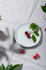 Poster - Red cherry with leaves