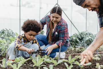 family of farmers planting vegetables in soil at the greenhouses