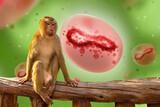 Fototapeta Kawa jest smaczna - Monkeypox outbreak concept. Monkeypox is a viral zoonotic disease. Monkeypox outbreak, MPXV virus. The spread of the disease from wild animals. The virus flies around the monkey.