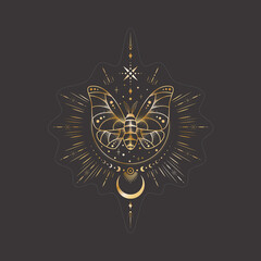 Wall Mural - vector mystic celestial sticker with golden outline insect, crescents, stars and moon phases. occult