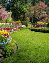 Buchart Garden Path In Spring Blooms