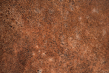 Wall Mural - Beige leather surface texture and background