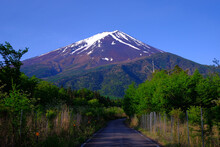 Mt. Fuji In The Early Morning Blue Sky From The Forest Road Fuji Line In Fujiyoshida City 05/26/2022