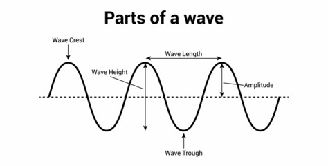 label the parts of a wave vector illustration isolated on white background