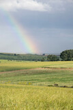 Fototapeta Tęcza - paisaje verde con arco iris 