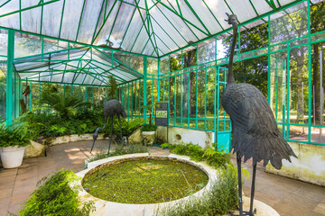 Wall Mural - Inner view of a greenhouse at Rio de Janeiro botanical garden