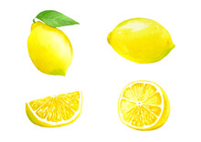 Watercolor Illustration Of Lemon Set